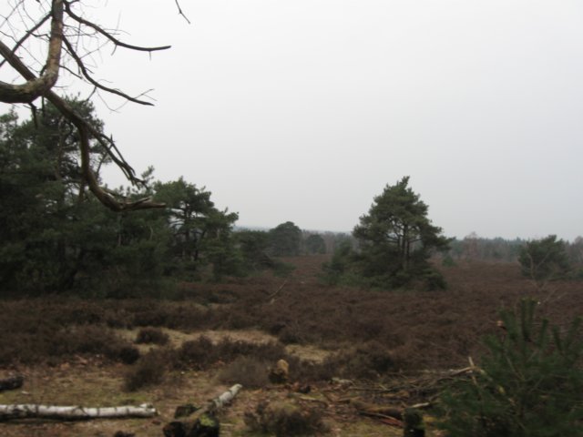 img_0084.jpg