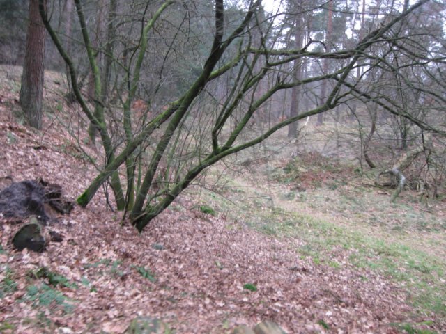 img_0089.jpg