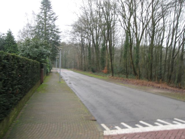 img_9971.jpg