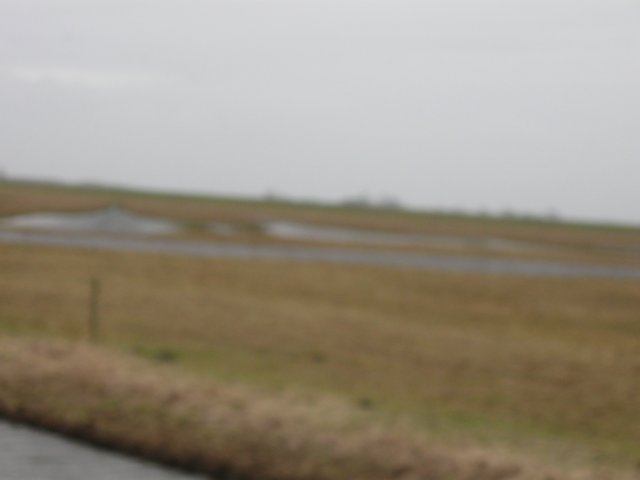img_9769.jpg