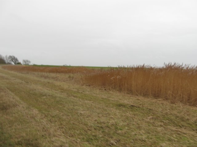 img_9770.jpg