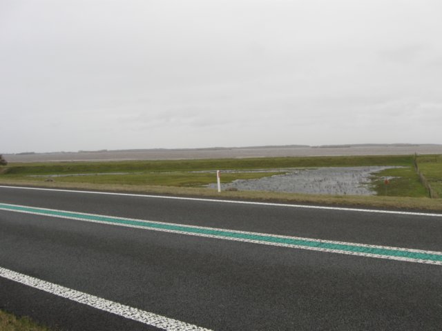 img_9772.jpg