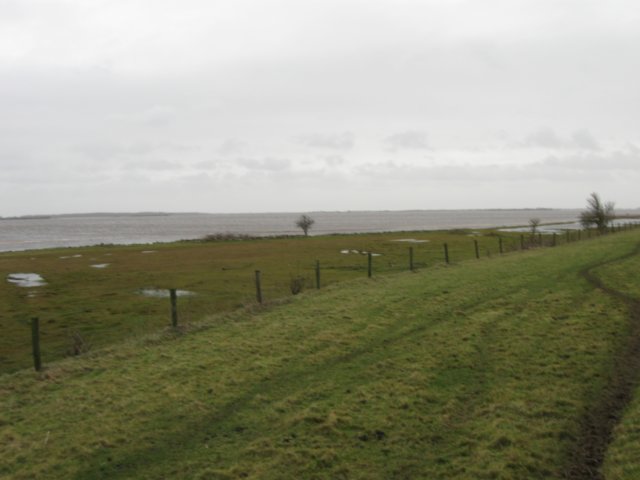 img_9773.jpg