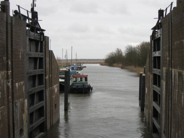 img_9798.jpg