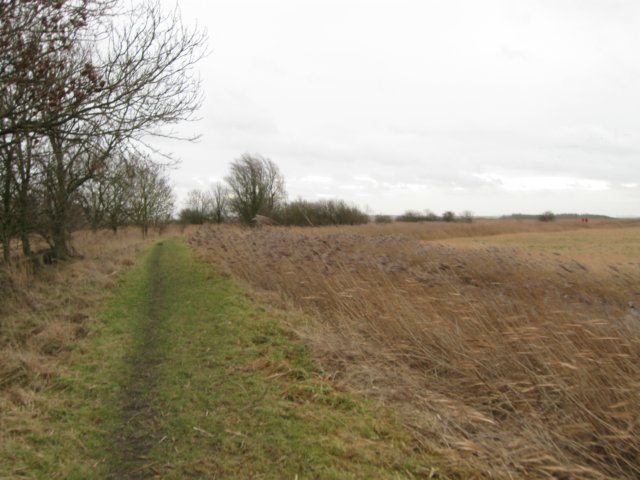 img_9801.jpg