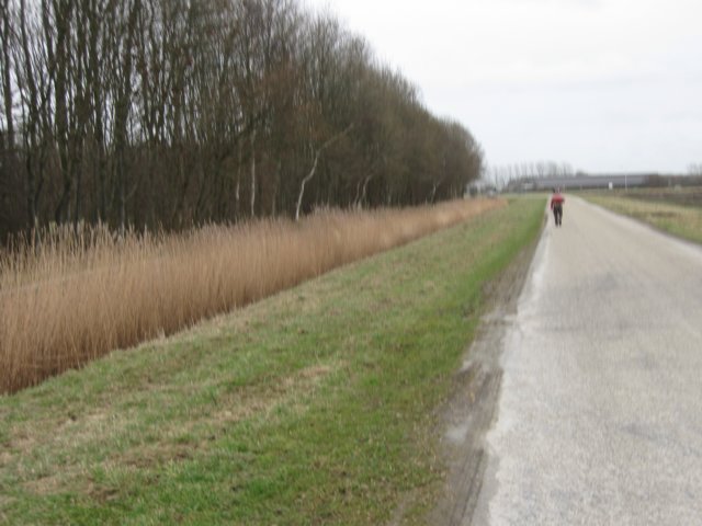 img_9831.jpg