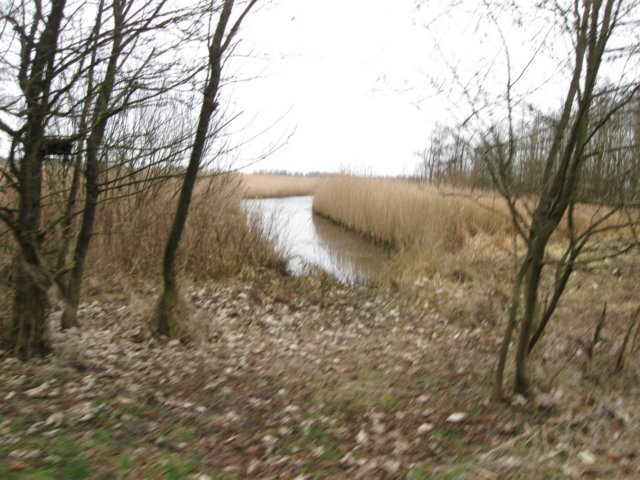 img_9841.jpg