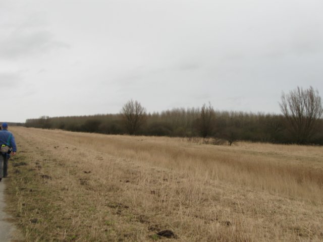 img_9843.jpg