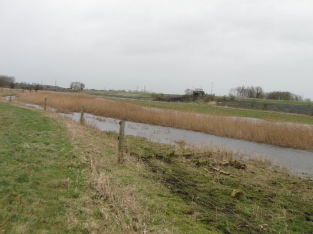 img_9851.jpg