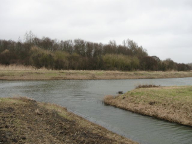 img_9870.jpg