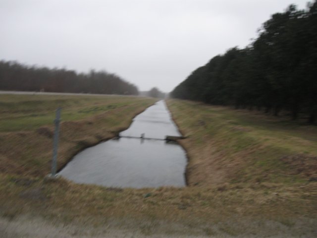 img_9873.jpg