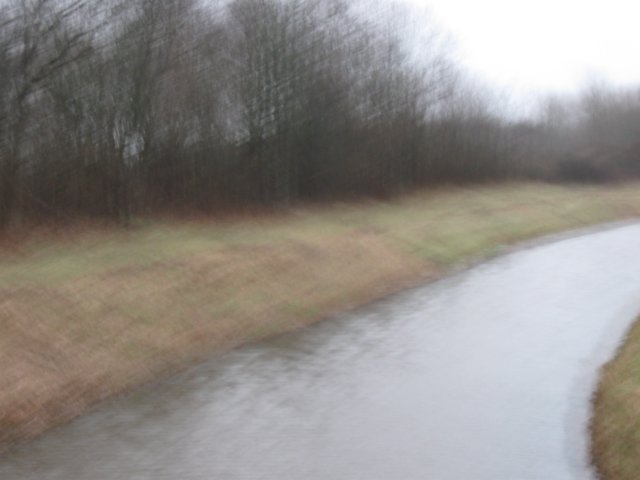 img_9877.jpg