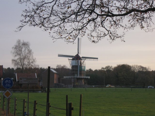 img_6016.jpg