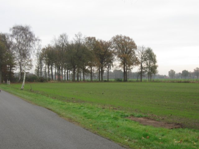img_6047.jpg