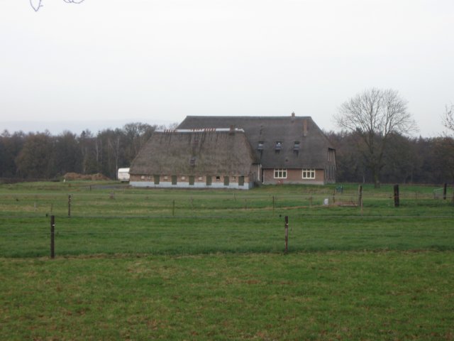 img_6081.jpg