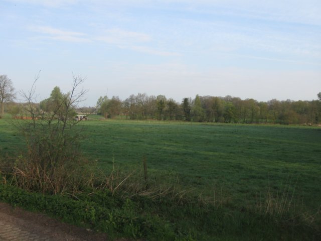 img_1773.jpg