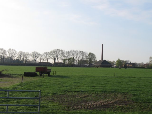 img_1774.jpg