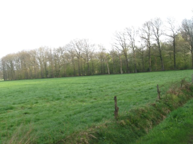 img_1780.jpg