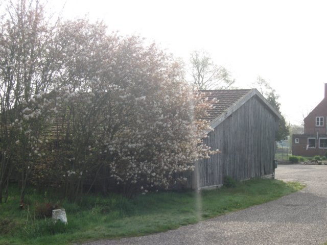 img_1784.jpg