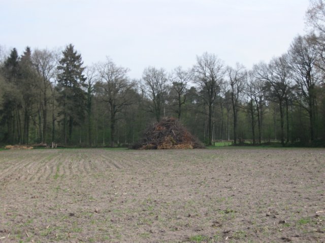 img_1785.jpg