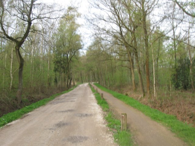 img_1788.jpg
