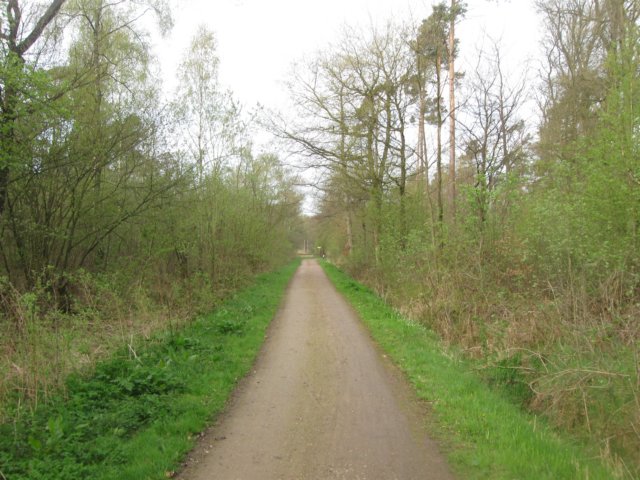 img_1790.jpg