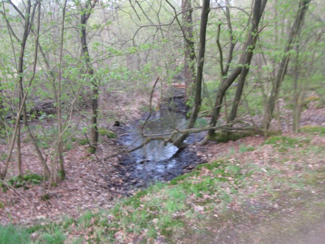 img_1791.jpg