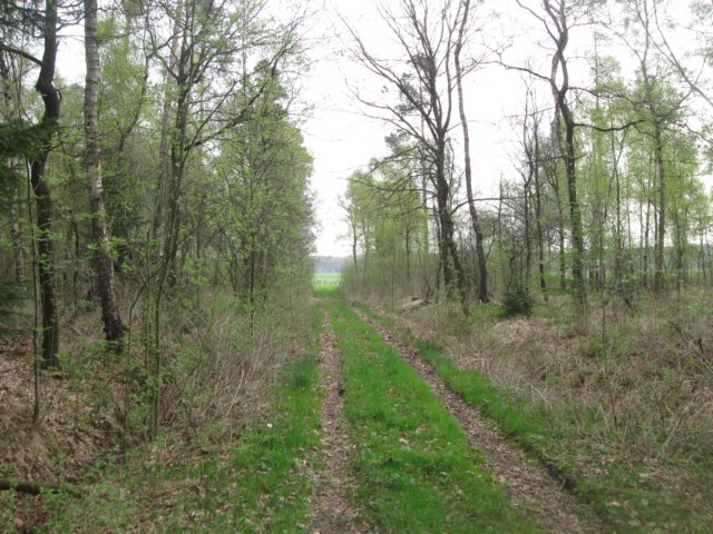 img_1794.jpg