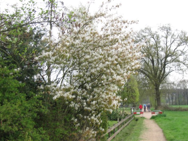 img_1807.jpg
