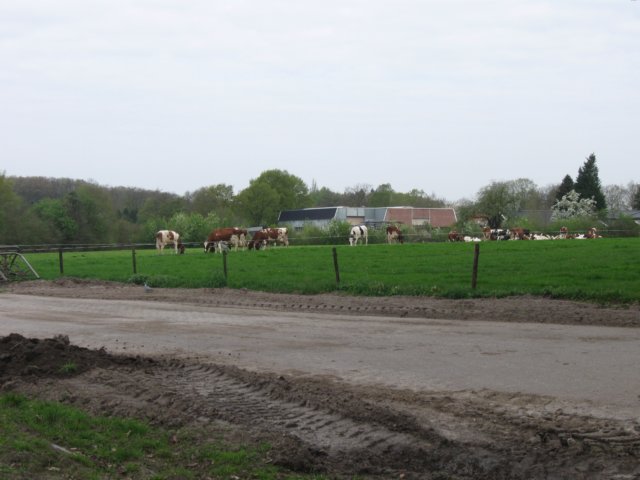 img_1826.jpg