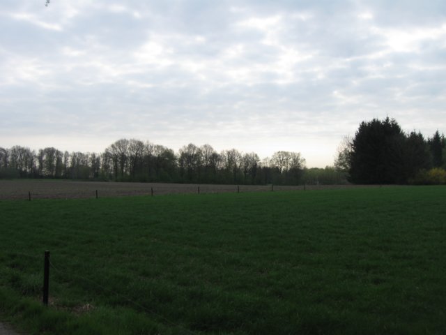 img_1833.jpg