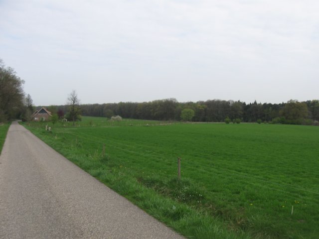 img_1843.jpg