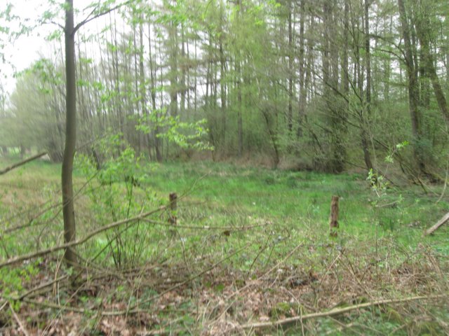 img_1846.jpg