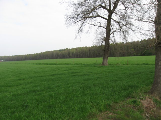 img_1848.jpg