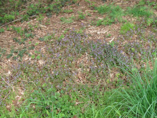 img_1849.jpg