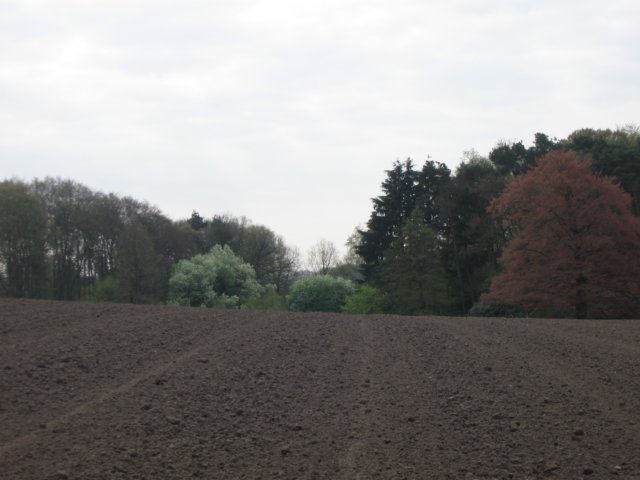 img_1857.jpg