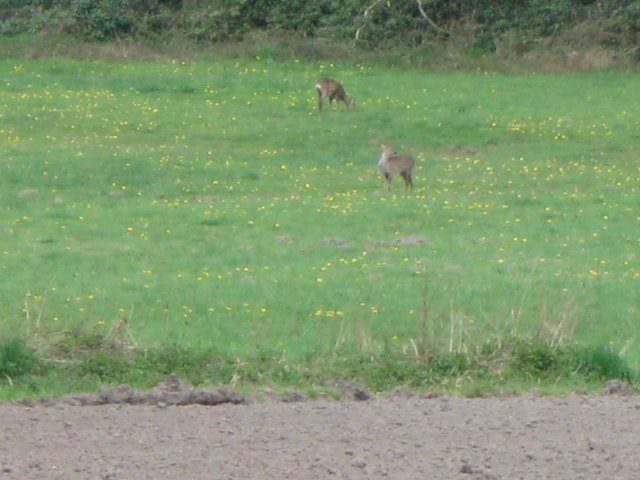 img_1858.jpg