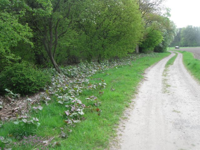 img_1859.jpg