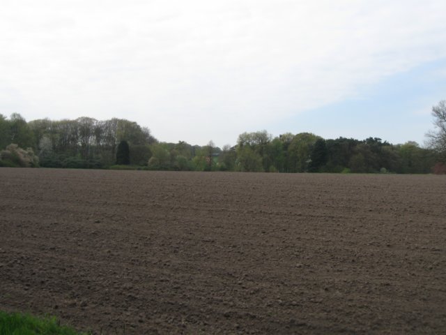 img_1861.jpg
