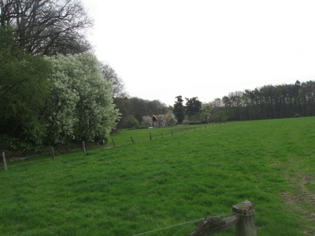 img_1862.jpg