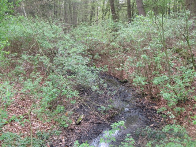 img_1865.jpg