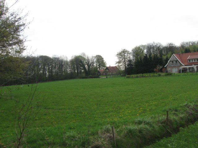 img_1874.jpg