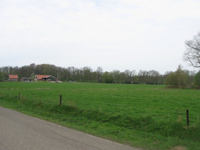 img_1875.jpg