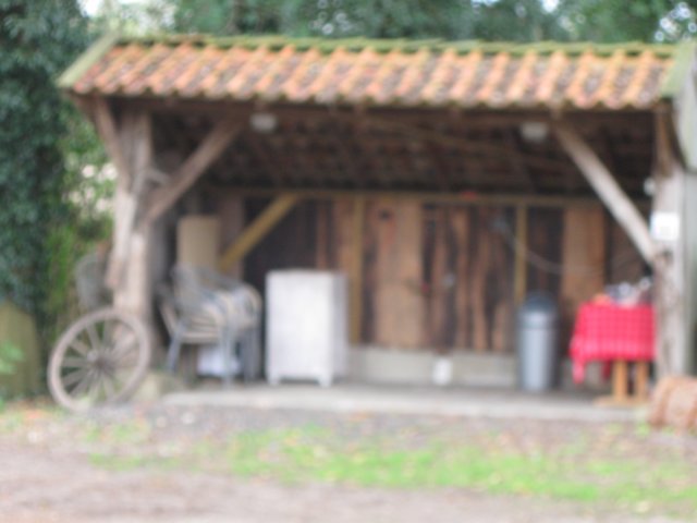 img_1885.jpg