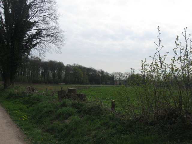 img_1888.jpg