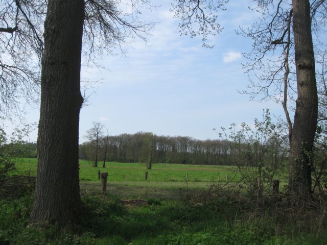 img_1892.jpg