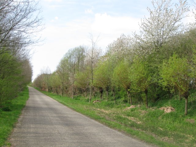 img_1898.jpg