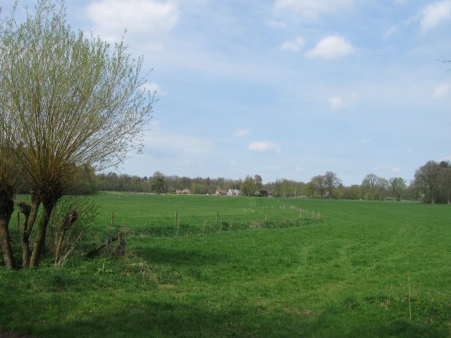 img_1899.jpg