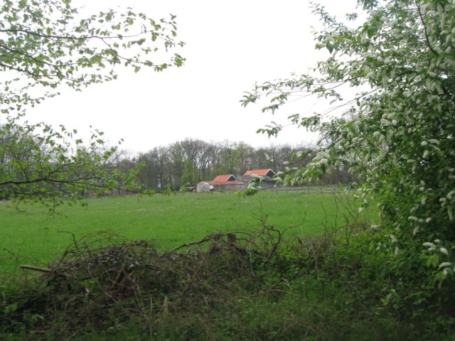 img_1931.jpg