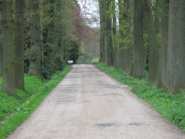 img_1940.jpg